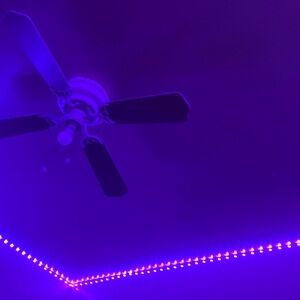 Meet your Posher, Kiara